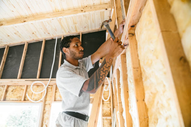 Insulation Inspection Services in Imlay City, MI